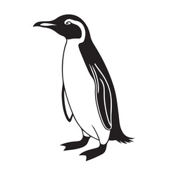 penguin vector