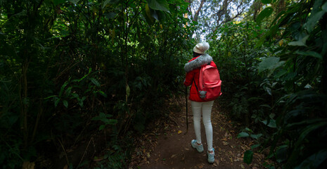 Female hiker exploring the beauty of nature while trekking through the mountains, surrounded by lush greenery and scenic views