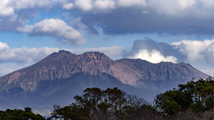日本周遊　鹿児島市石橋記念公園