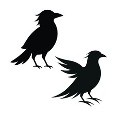 Obraz premium Set of 2 black crow silhouettes vector