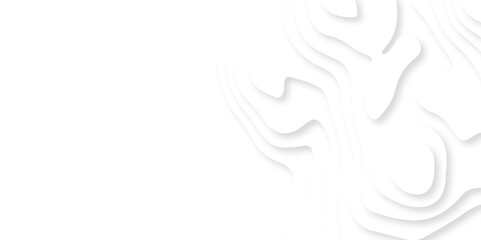 	
Luxury diamond creative abstract background vector natural shadow papercut web topography map spiral line. white light dynamic smooth 3d papercut texture background.