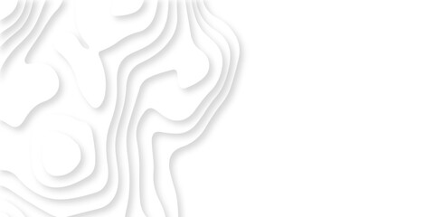 	
Luxury diamond creative abstract background vector natural shadow papercut web topography map spiral line. white light dynamic smooth 3d papercut texture background.