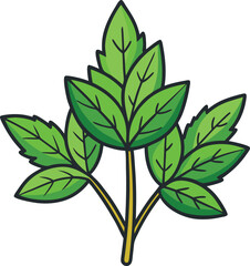 Mint Leaf Branch Vector Illustration, A vector illustration of a mint leaf branch with vibrant green leaves, ideal for fresh, herbal designs.

