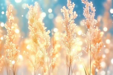 Golden grasses bathed in warm light, soft focus