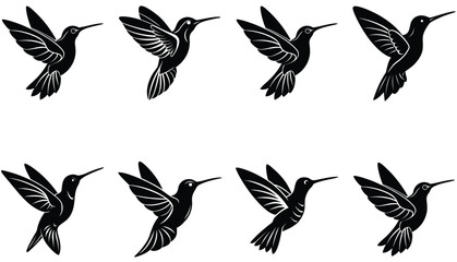 Hummingbird Icon on Flat Color Circle Buttons. Hummingbird Vector Shilhouette Bundle Set Collection.