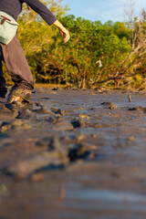 East Sumba, East Nusa Tenggara , Indonesia – 05 . 09. 2024 –  Trying to cross a muddy river to care for the mangroves that were planted six months earlier