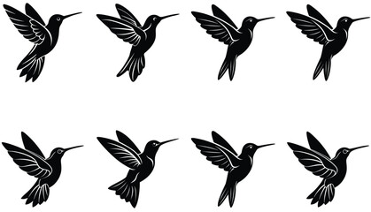 Fototapeta premium Hummingbird Icon on Flat Color Circle Buttons. Hummingbird Vector Shilhouette Bundle Set Collection.