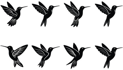 Hummingbird Icon on Flat Color Circle Buttons. Hummingbird Vector Shilhouette Bundle Set Collection.
