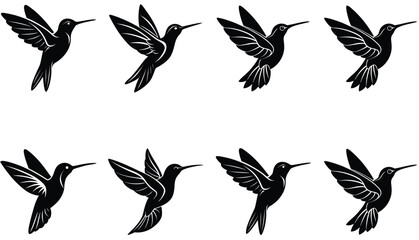 Hummingbird Icon on Flat Color Circle Buttons. Hummingbird Vector Shilhouette Bundle Set Collection.