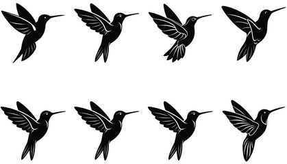 Obraz premium Hummingbird Icon on Flat Color Circle Buttons. Hummingbird Vector Shilhouette Bundle Set Collection.