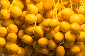 Close-up of several clusters of ripe, yellow dates hanging from a palm, showcasing the fruit's natural texture and color