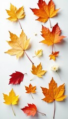 Obraz premium Fresh fallen leaves scattered on white surface, flowers, botany