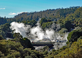 Fototapeta premium A geothermal valley in Rotorua, New Zealand, steaming away.