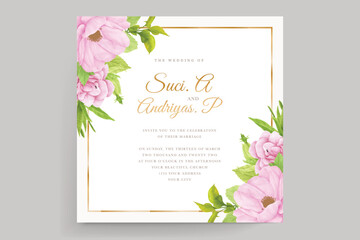 hand drawn poppy anemone background  