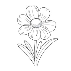 vector illustration of a white flower coloring page 