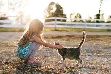 Young girl affectionately pets friendly cat in sunny farmyard