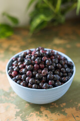Close up of bowl of ripe Saskatoon berries in rustic setting