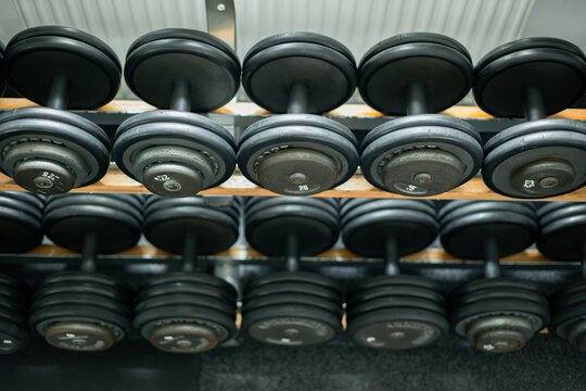 Set of black dumbbells neatly arranged on a gym rack