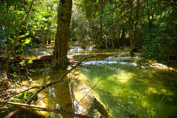 Obraz premium Souce de l'Huveaune bei Nans les Pins im Massif de Sainte Baume in Frankreich