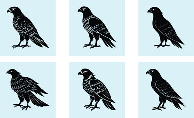 Fototapeta premium Hawk Silhouette vector
