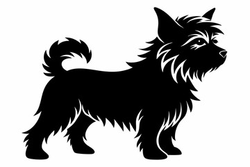 affenpinscher line art silhouette vector illustration