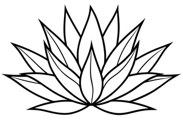 agave line art silhouette vector illustration