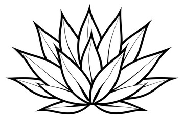 agave line art silhouette vector illustration