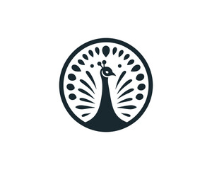 Peacock logo design icon symbol vector illustration. Peacock bird vector template.