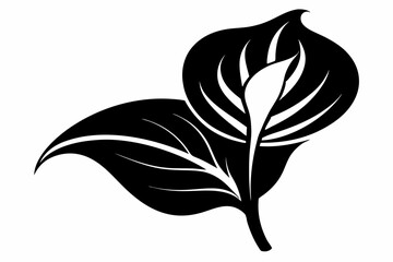 calla lily flower leaf line art silhouette vector illustration