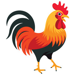 Fototapeta premium Colorful rooster in a vibrant poultry farming vector illustration, isolated on a white background, ideal for agricultural and animal themed designs.