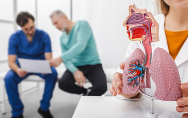 Specialist discusses lung health with a patient while showcasing a detailed anatomical model in a medical clinic setting
