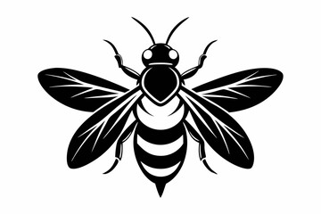 firefly bee line art silhouette vector illustration