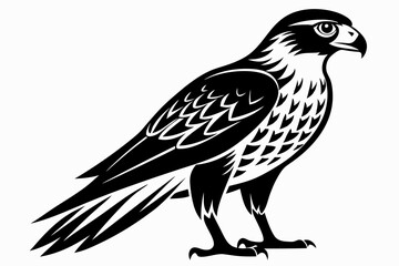 goshawk bird line art silhouette vector illustration