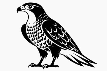 goshawk bird line art silhouette vector illustration