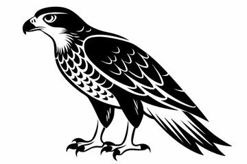 goshawk bird line art silhouette vector illustration