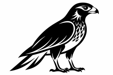 goshawk bird line art silhouette vector illustration