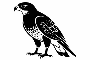goshawk bird line art silhouette vector illustration