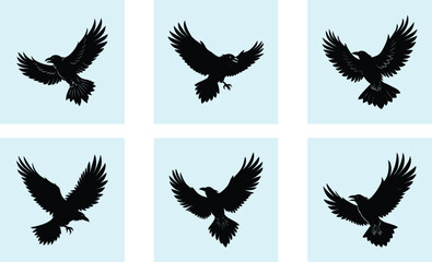 Fototapeta premium Flying Raven Silhouette vector