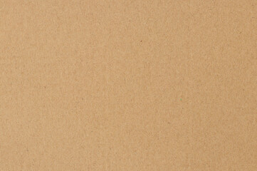 Brown cardboard sheet abstract background, texture of sepia color kraft paper with vintage pattern...