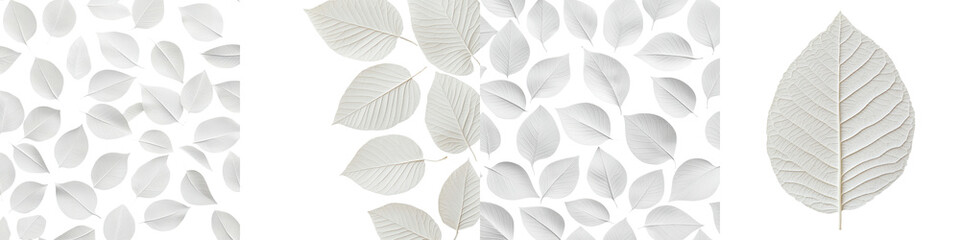 Obraz premium Delicate white leaves arranged in a soothing minimalist pattern conveying a sense of natural tranquility and simplicity