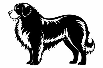leonberger line art silhouette vector illustration