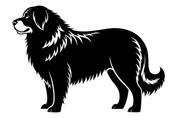 leonberger line art silhouette vector illustration