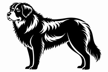 leonberger line art silhouette vector illustration