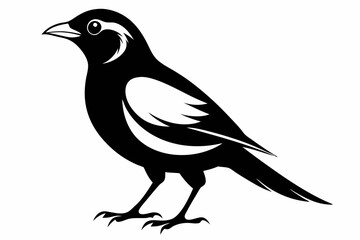 Fototapeta premium myna bird line art silhouette vector illustration