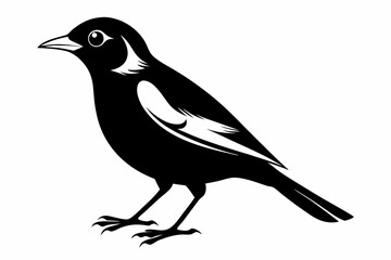 myna bird line art silhouette vector illustration