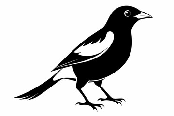 myna bird line art silhouette vector illustration