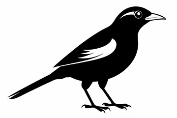 Obraz premium myna bird line art silhouette vector illustration