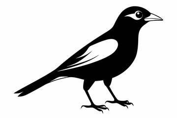 myna bird line art silhouette vector illustration