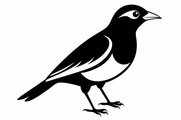 myna bird line art silhouette vector illustration