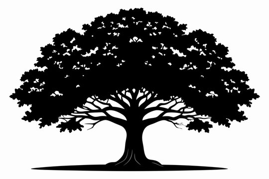 oak tree line art silhouette vector illustration